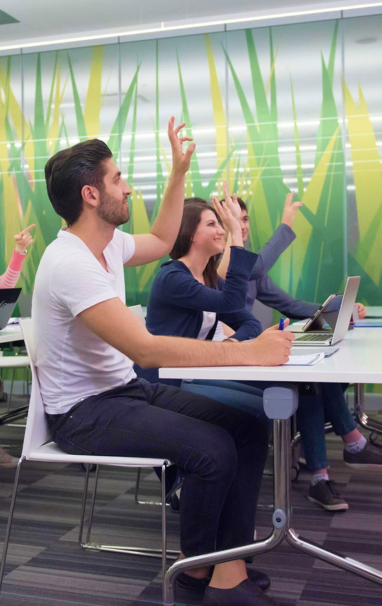 Online Study Classroom الفصل الدراسي عبر الإنترنت